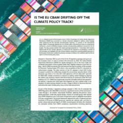 CBAM-riltm9wvrhp4jhiox43pp0cupf9qumyqnqbs6frd1g-1