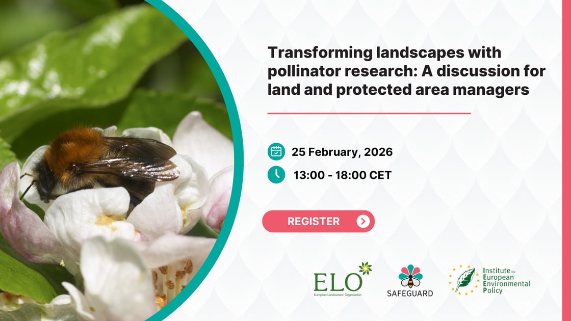 Safeguard 252 v1 (5)