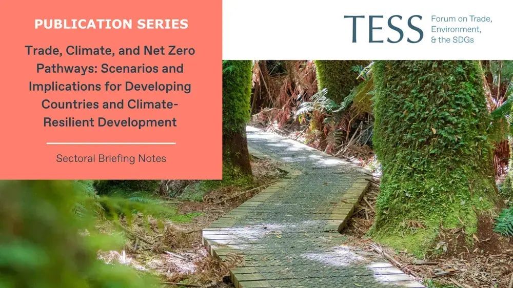 TESS-Publication-Card-Series-Net-Zero